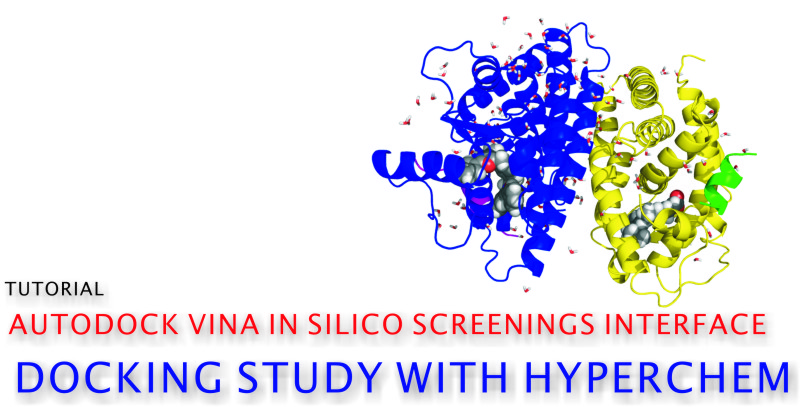 AutoDock Vina In Silico Screenings Interface