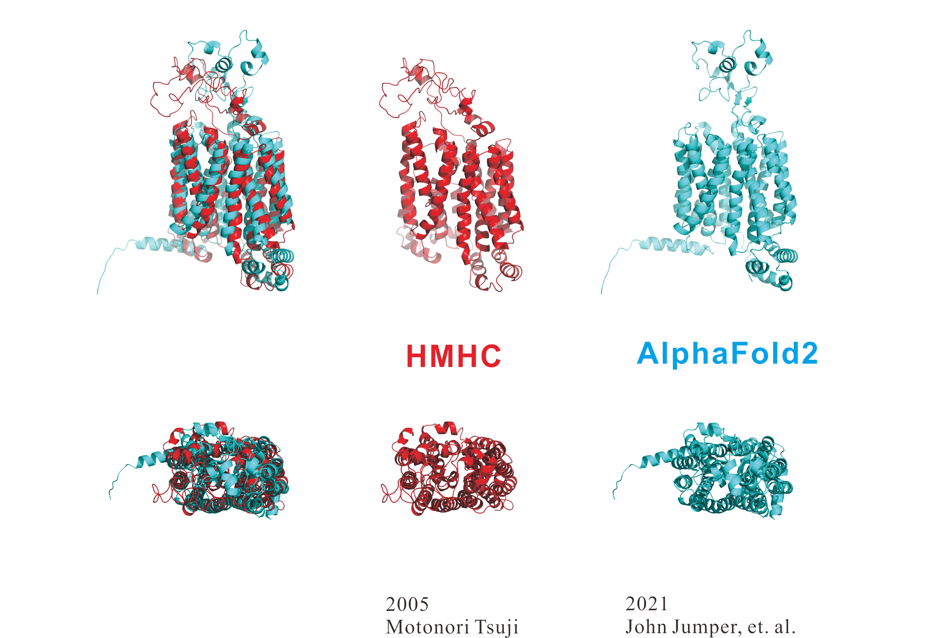 HMHC vs AlphaFold2