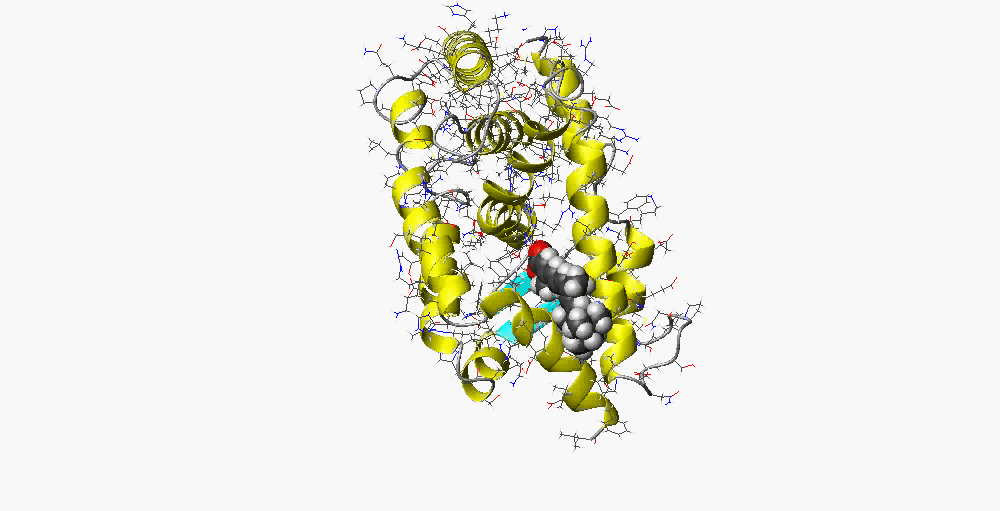Ligand Entry to Nuclear Receptor