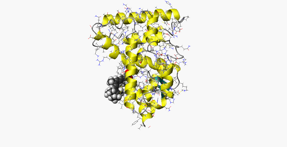 Ligand Entry to Nuclear Receptor