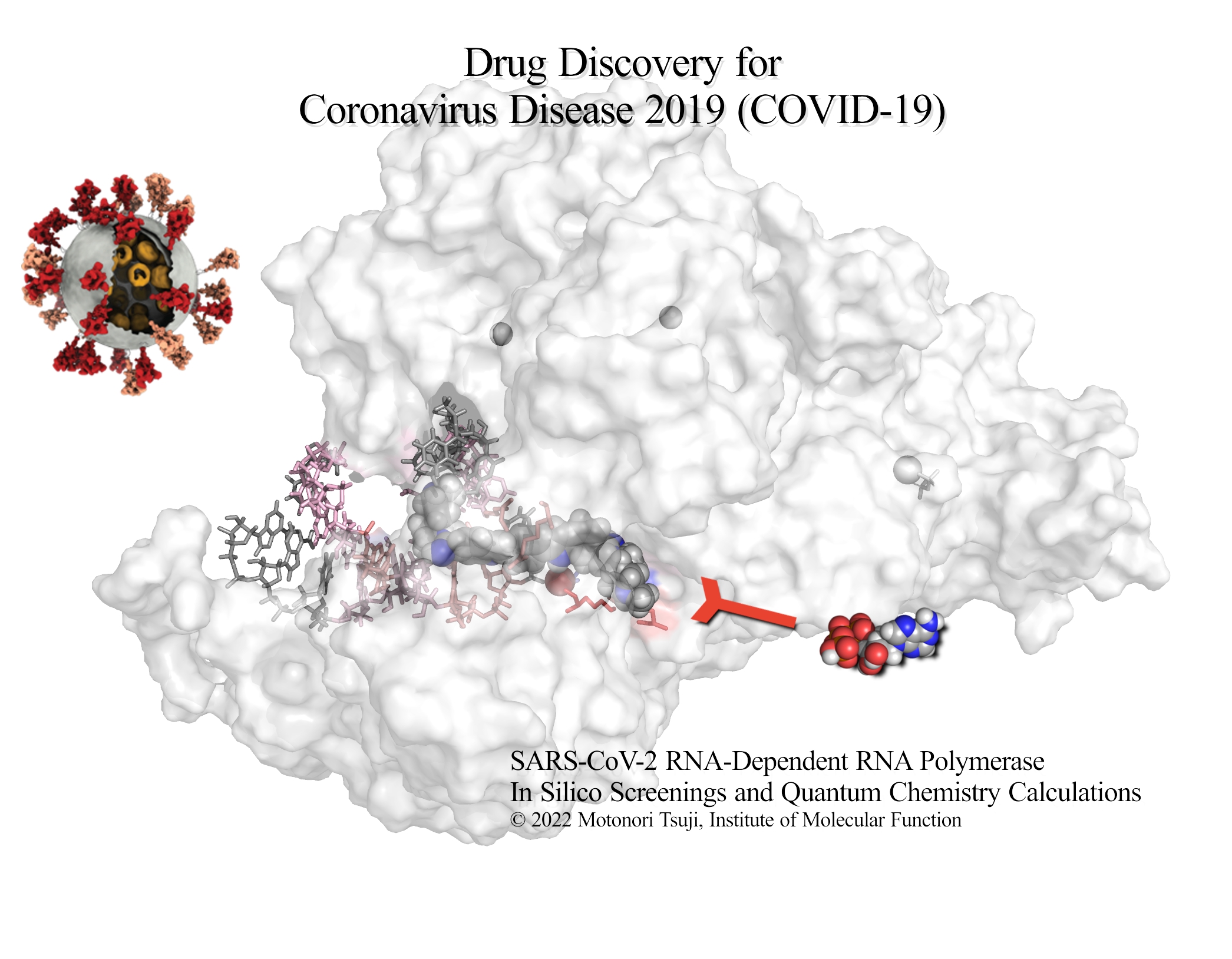 Structure-based drug design for COVID-19