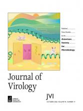 JVirology2020