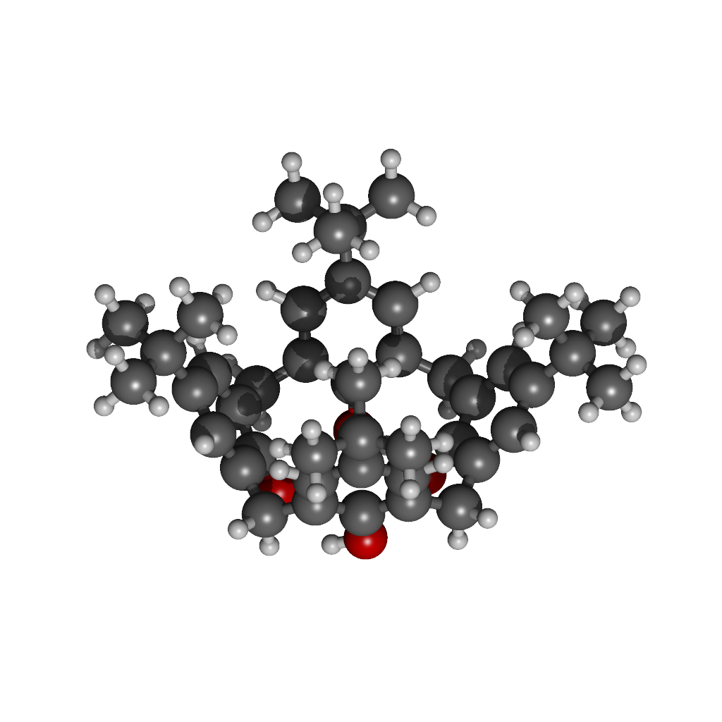 分子機能研究所 受託計算サービス