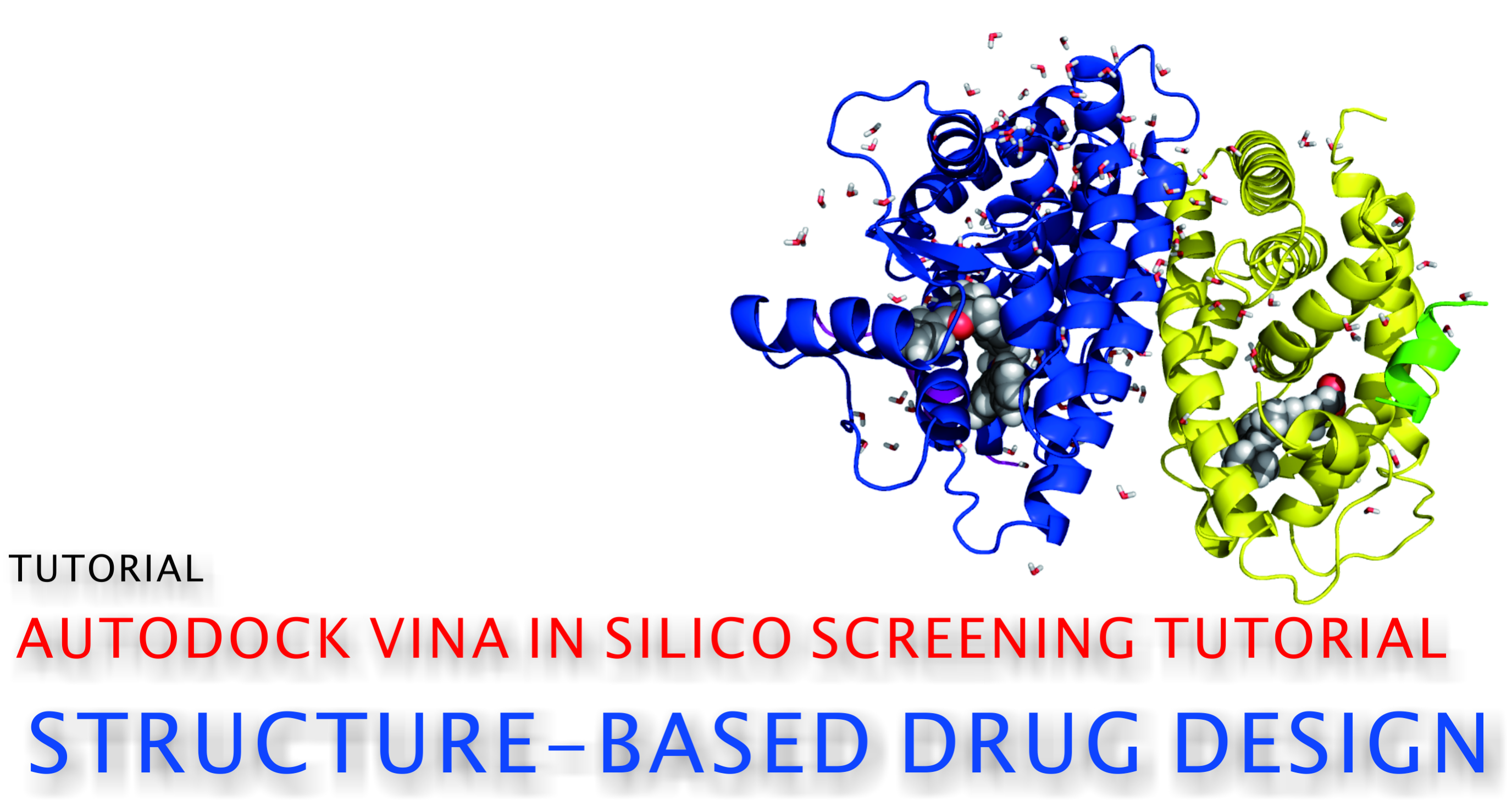 AutoDock Vinaチュートリアル