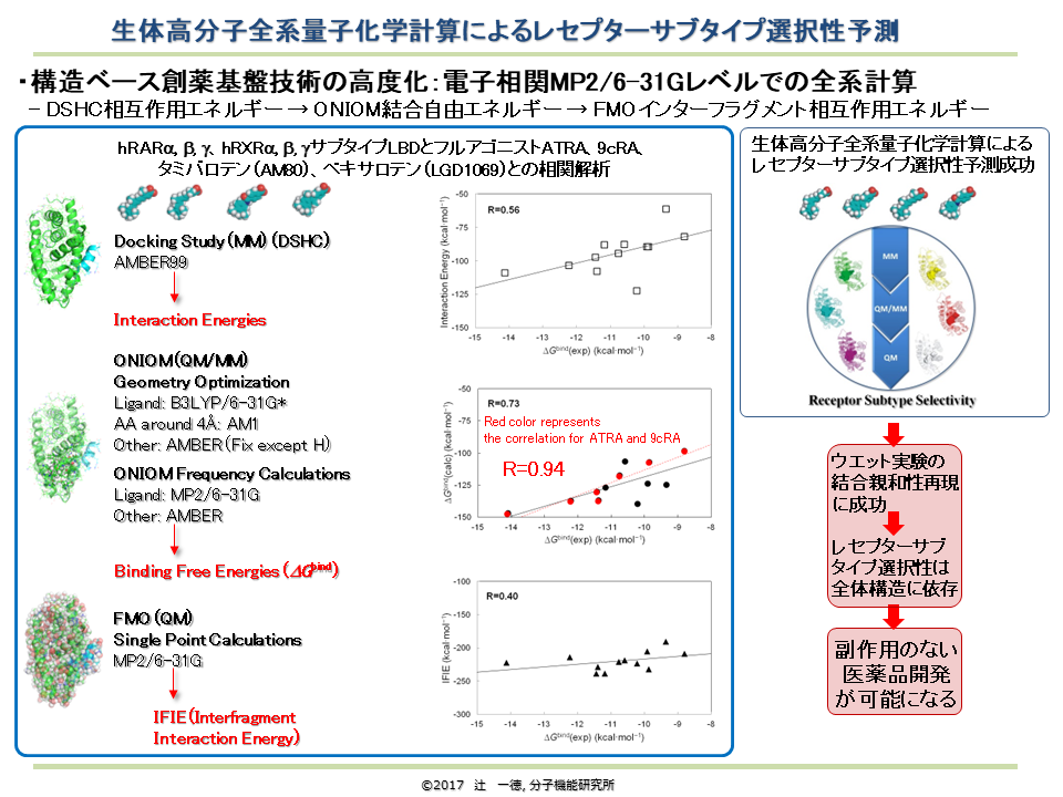 生体高分子量子化学計算による非経験的結合自由エネルギー計算
