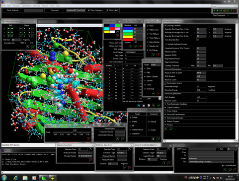 Docking Study with HyperChem