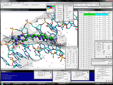 DNA Minor Groove Binder Docking