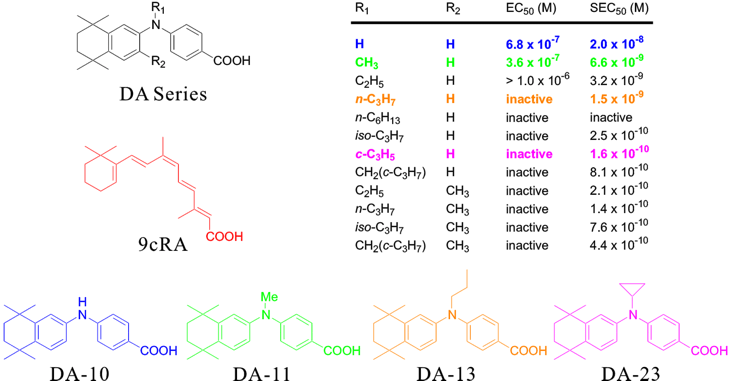 RXR Agonist