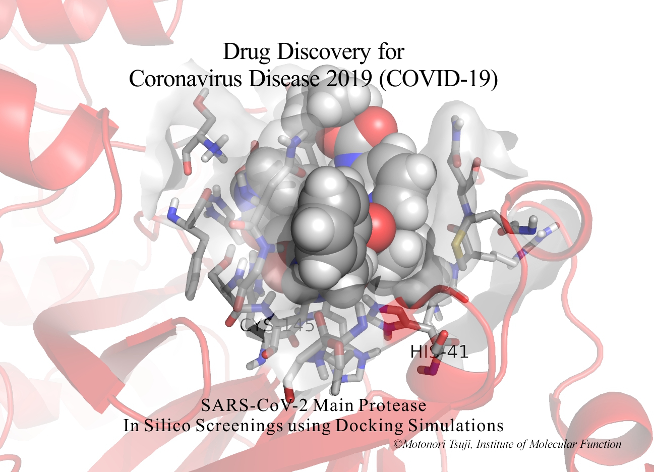 Drug Discovery for Coronavirus Disease (COVID-19)