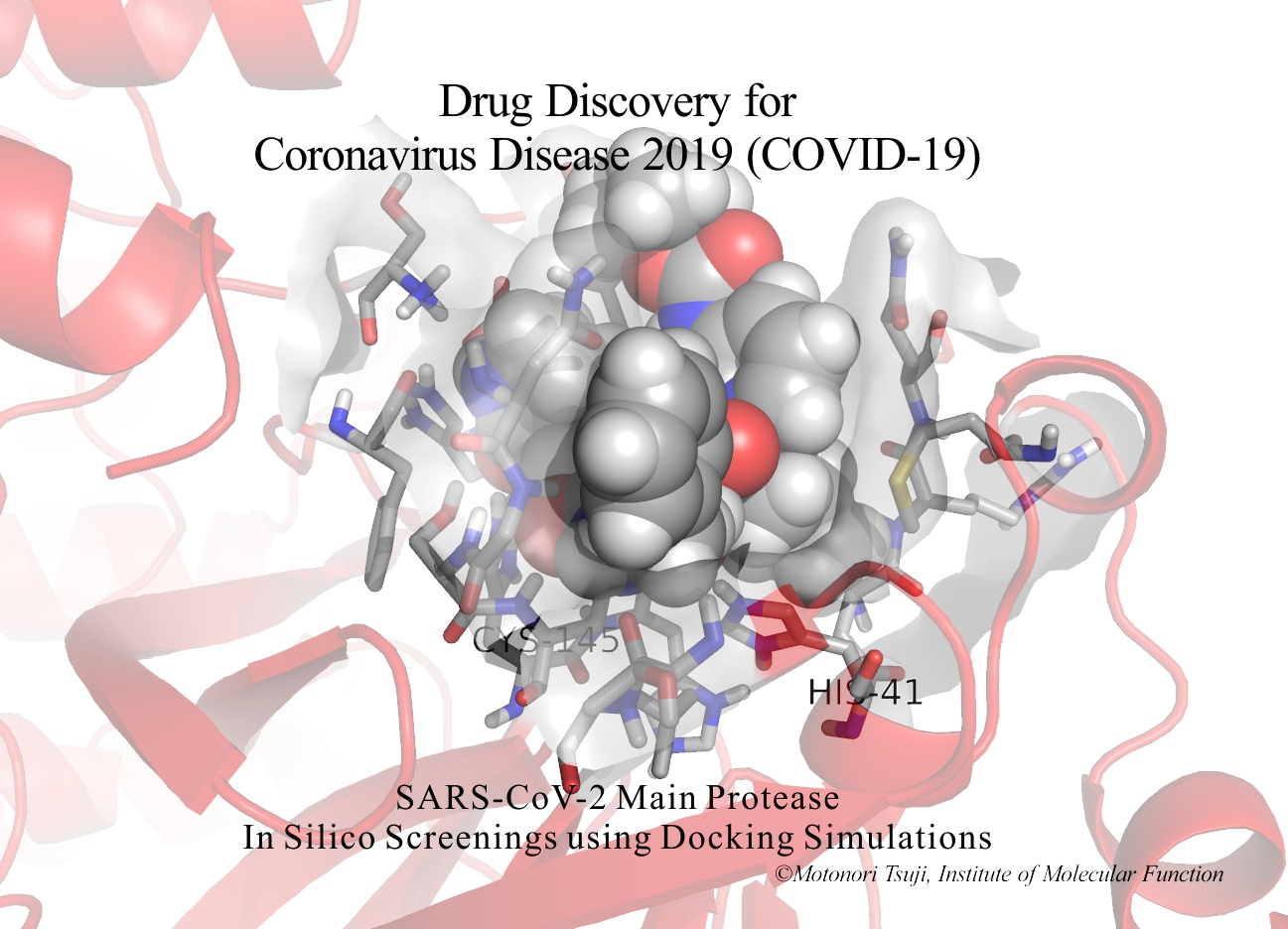 Virtual screenings targeting novel coronavirus main protease