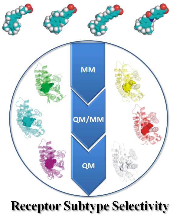 Origin of the Receptor Subtype Selectivity via Quantum Mechanics