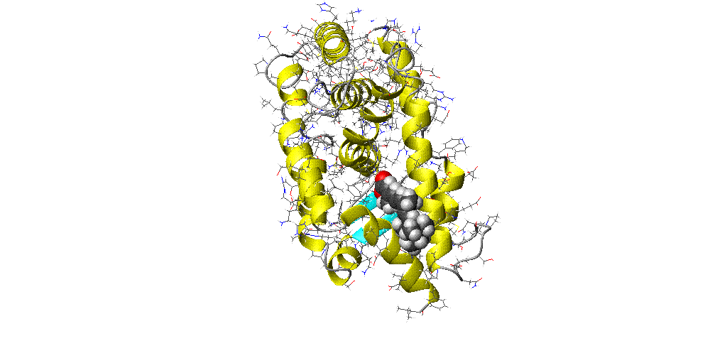 Helix H3 Three-Point Initial Binding Hypothesis