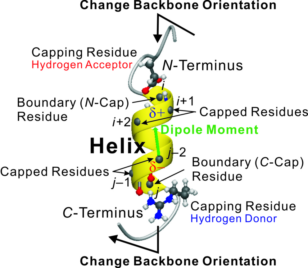 Charge-Dipole Interaction at Local Motifs